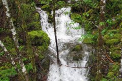 2010-06-04-005