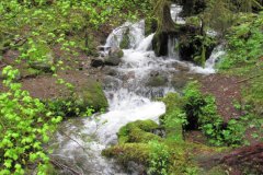 2010-06-04-007