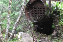 2010-06-04-013