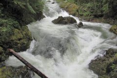 2010-06-04-045