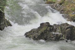 2010-06-04-047