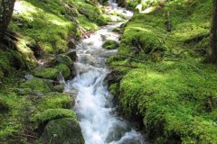 2010-06-05-008