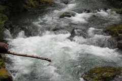 2010-06-06-006