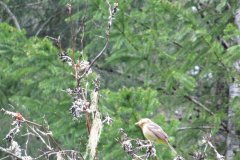2010-06-06-019